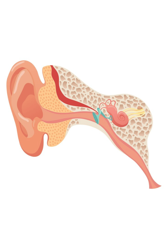 Vestibular Physical Therapy smartmove